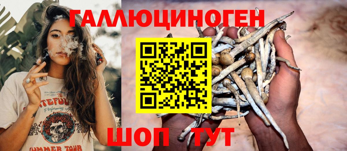Новоуральск  Галлюциногенные грибы MAGIC MUSHROOMS  Вход с VPN 